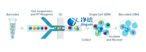 中國(guó)人自己的微流控單細(xì)胞測(cè)序儀來(lái)了！_微流控Drop-seq,微流控技術(shù)