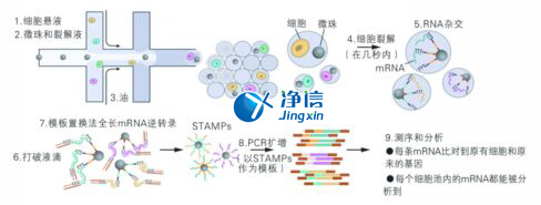 中國(guó)人自己的微流控單細(xì)胞測(cè)序儀來(lái)了！_微流控Drop-seq