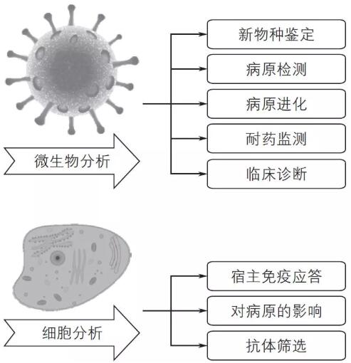 單細胞測序技術及其在傳染病研究領域中的應用講解