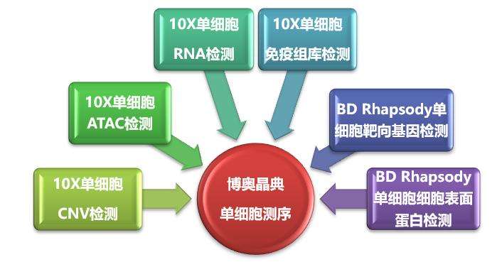 單細胞測序技術及其在傳染病研究領域中的應用講解