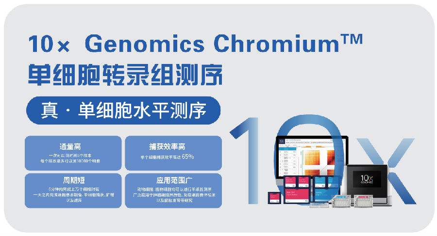 單細胞測序技術(shù)研究癌變腫瘤